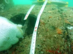 Bathymetric